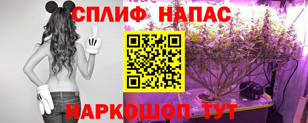 Бошки Шишки ГИДРОПОН  Вход с VPN  Конопля SATIVA & INDICA  Асбест 